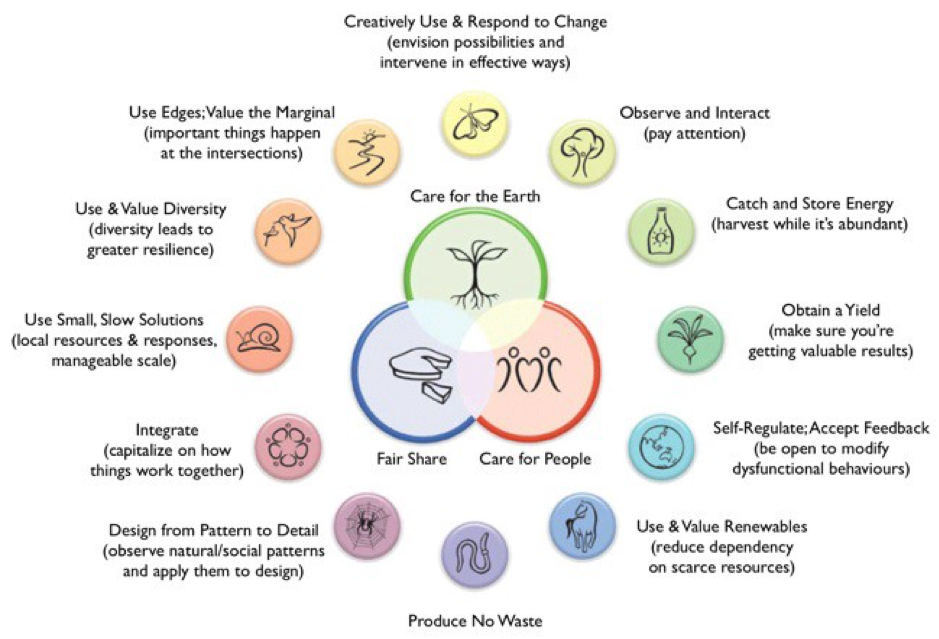 The twelve design principles of permaculture and how they can be applied to natural skincare
